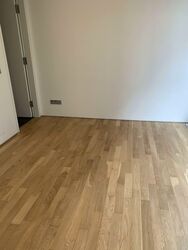 Robertson Blue (D9), Apartment #573215561